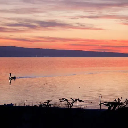 Anastazija Apartman *